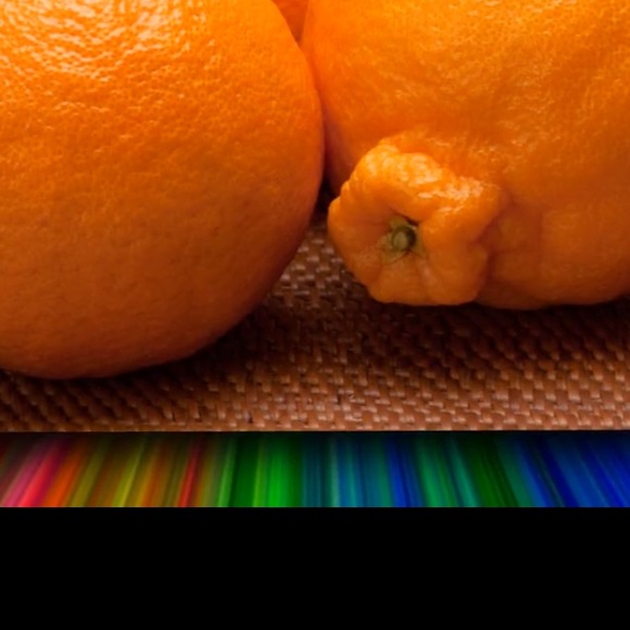 Meet your Posher, Brandon - Picture 1 of 1